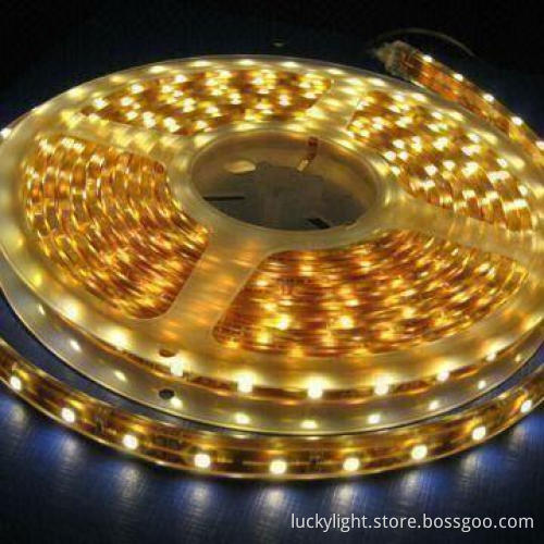Outdoor Waterproof IP68 LED Strip Lighting with 120 LEDs/Meter and 12 to 24V DC Input Voltage